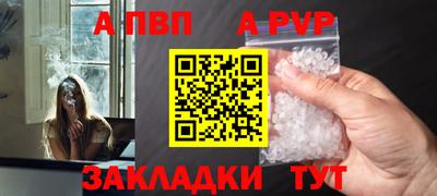 стаф Кингисепп