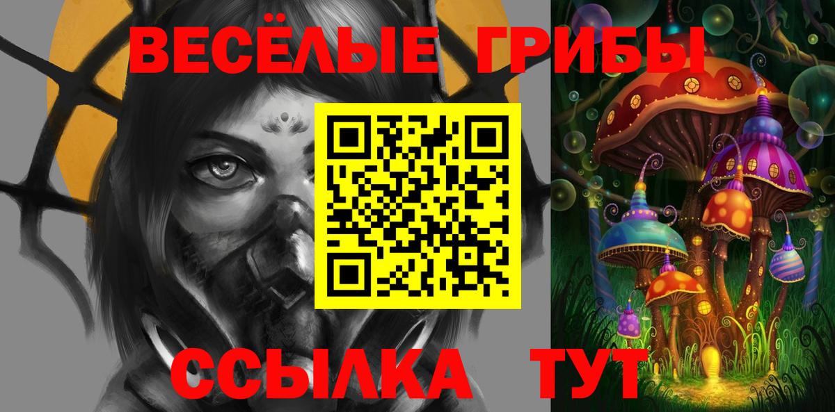 Глазов  закладки  Вход с VPN  Псилоцибиновые грибы GOLDEN TEACHER 